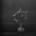 Black lilies in black vase shot against a black background.
